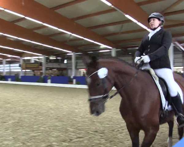 Dressurturnier Isterberg 2016