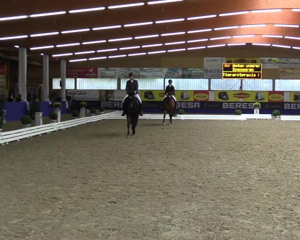 Dressurturnier Isterberg 2016