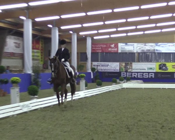 Dressurturnier Isterberg 2016