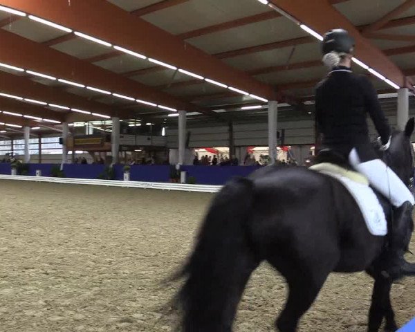 Dressurturnier Isterberg 2016