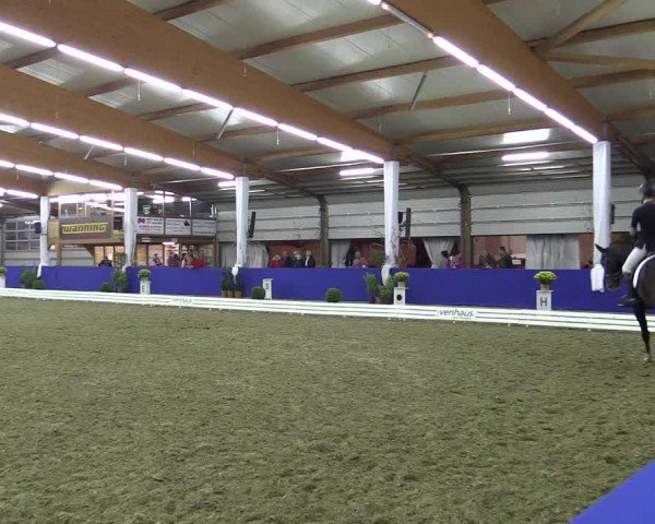 Dressurturnier Isterberg 2016