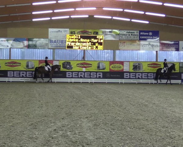 Dressurturnier Isterberg 2016
