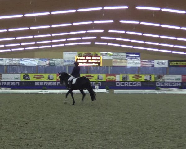 Dressurturnier Isterberg 2016