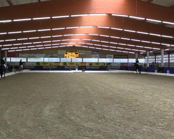 Dressurturnier Isterberg 2016