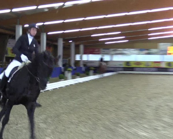 Dressurturnier Isterberg 2016