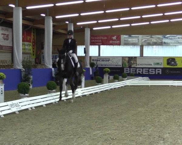 Dressurturnier Isterberg 2016
