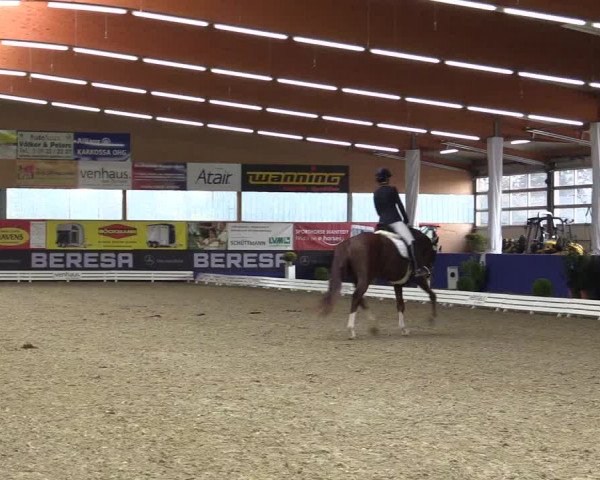 Dressurturnier Isterberg 2016