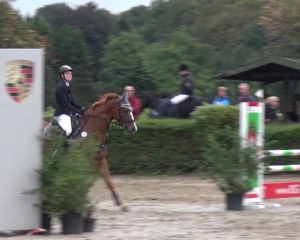 Reitturnier Leverkusen-Teitscheider Hof 2016