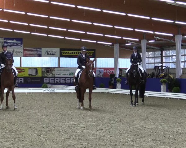Dressurturnier Isterberg 2016