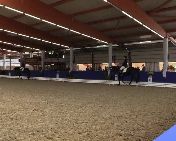 Dressurturnier Isterberg 2016