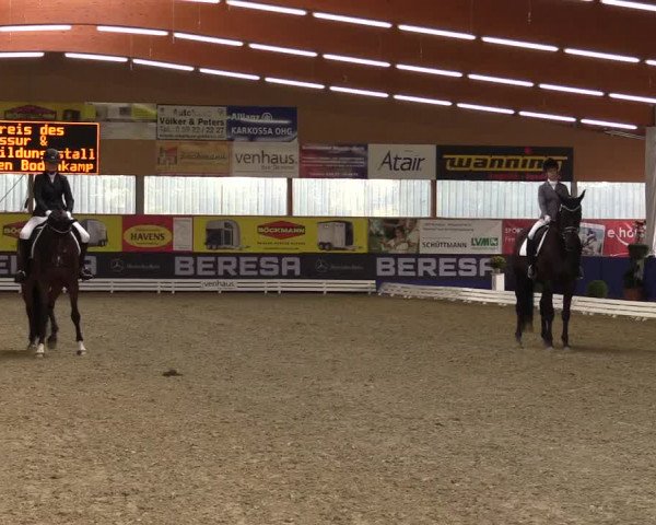 Dressurturnier Isterberg 2016