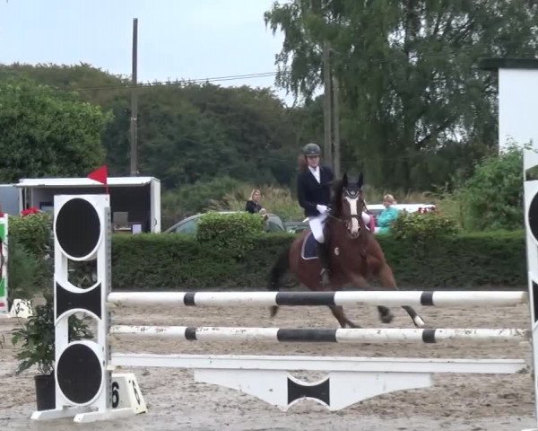 Reitturnier Leverkusen-Teitscheider Hof 2016