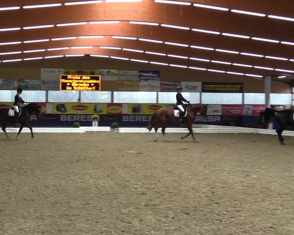 Dressurturnier Isterberg 2016