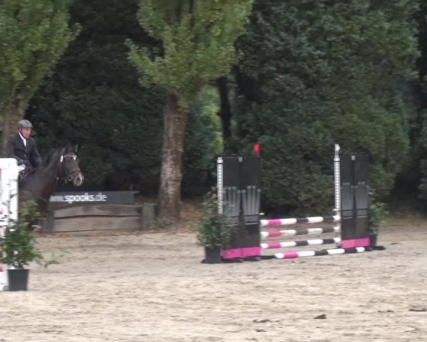 Reitturnier Leverkusen-Teitscheider Hof 2016