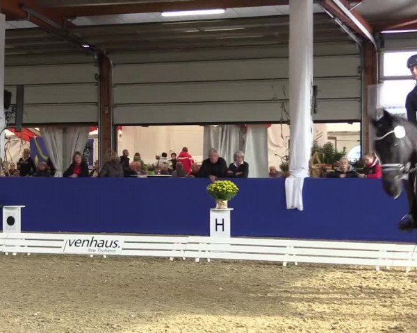 Dressurturnier Isterberg 2016