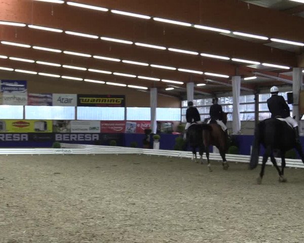 Dressurturnier Isterberg 2016
