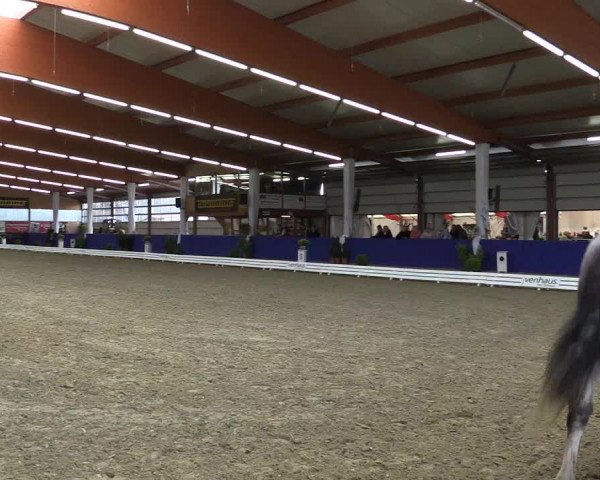 Dressurturnier Isterberg 2016