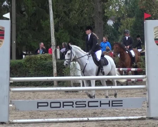 Reitturnier Leverkusen-Teitscheider Hof 2016