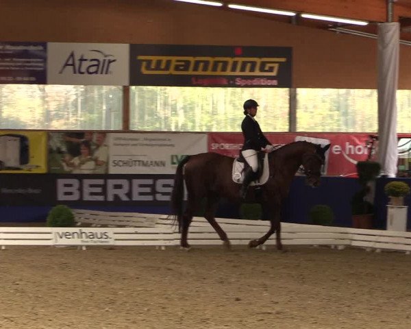 Dressurturnier Isterberg 2016