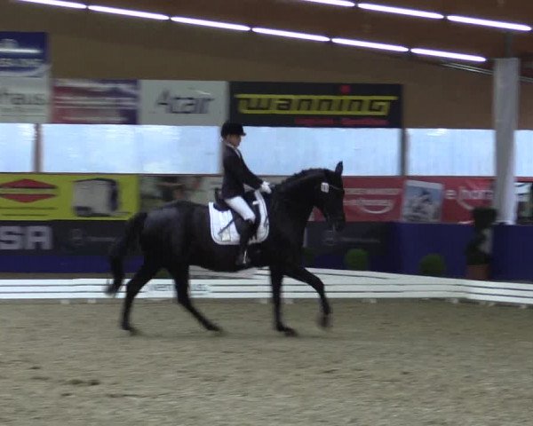Dressurturnier Isterberg 2016