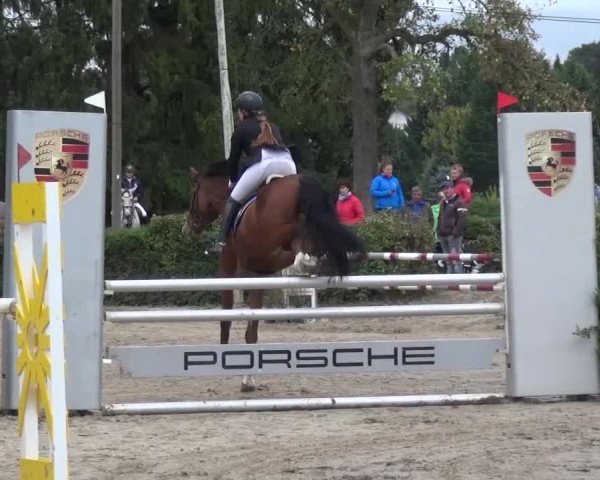 Reitturnier Leverkusen-Teitscheider Hof 2016