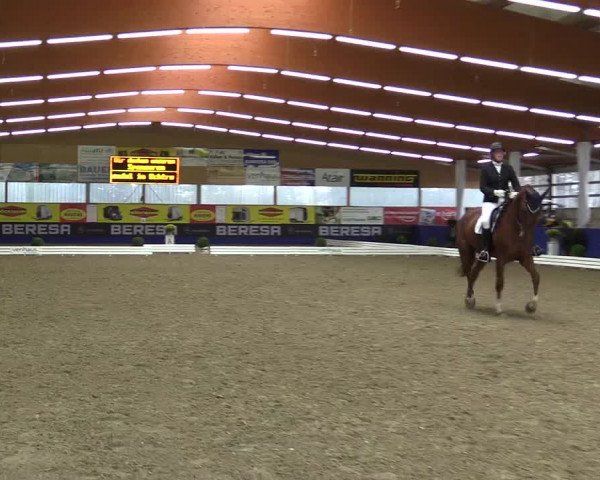 Dressurturnier Isterberg 2016