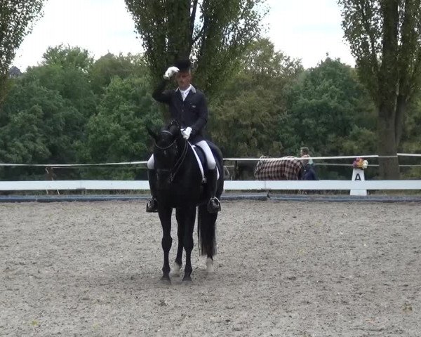 Reitturnier Leverkusen-Teitscheider Hof 2016