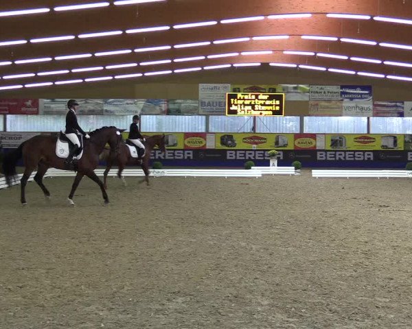 Dressurturnier Isterberg 2016