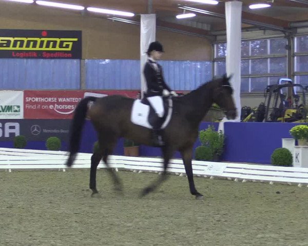 Dressurturnier Isterberg 2016