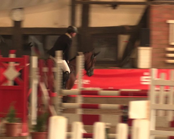 Hallenreitturnier Ovenstädt 2016