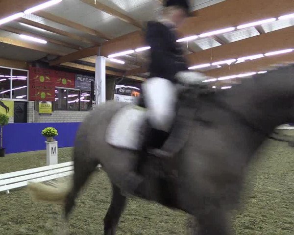 Dressurturnier Isterberg 2016