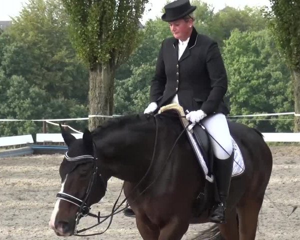 Reitturnier Leverkusen-Teitscheider Hof 2016