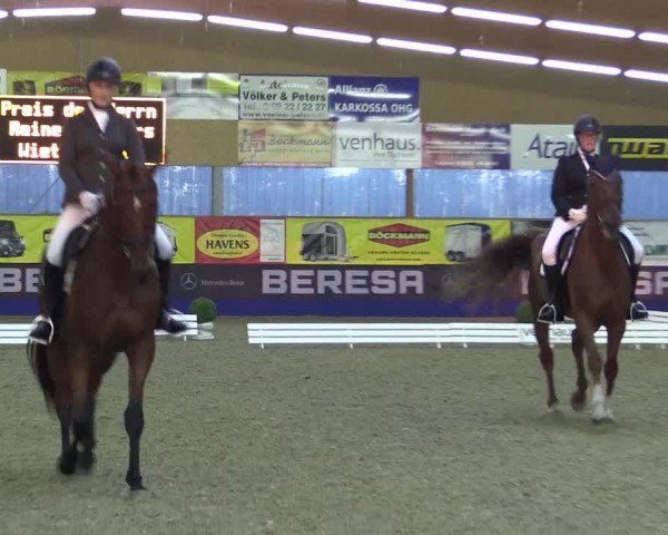 Dressurturnier Isterberg 2016