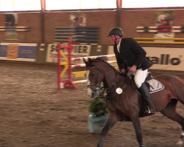 Hallenreitturnier Ovenstädt 2016