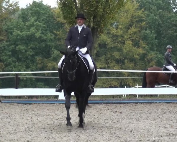 Reitturnier Leverkusen-Teitscheider Hof 2016