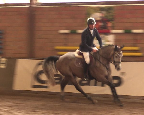 Hallenreitturnier Ovenstädt 2016