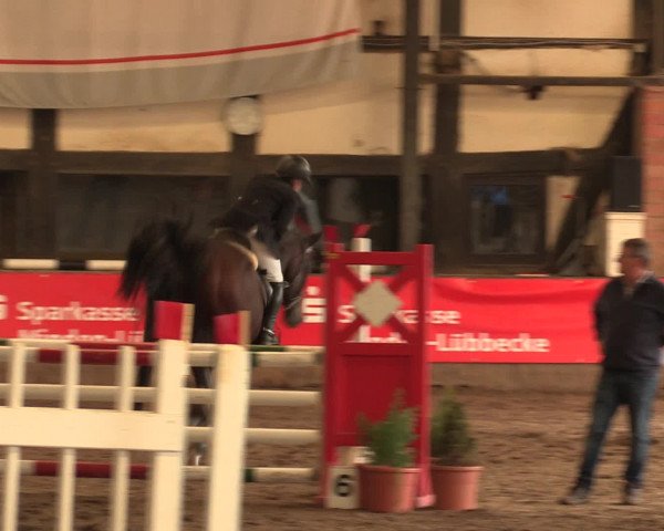 Hallenreitturnier Ovenstädt 2016