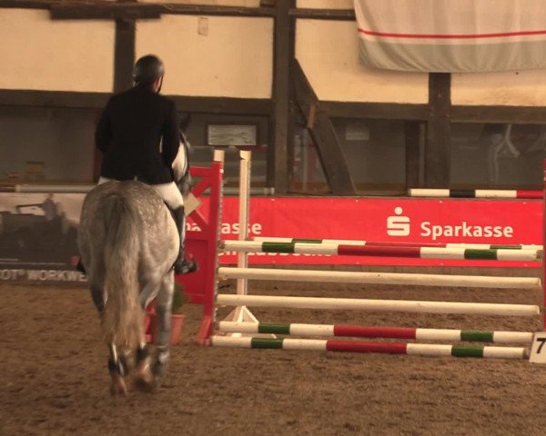 Hallenreitturnier Ovenstädt 2016