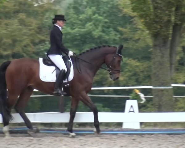 Reitturnier Leverkusen-Teitscheider Hof 2016