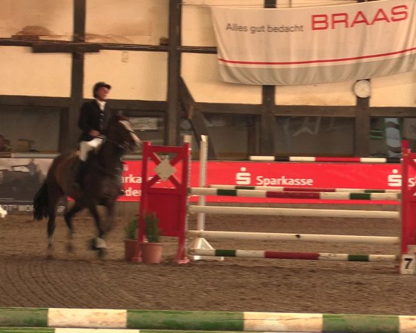 Hallenreitturnier Ovenstädt 2016