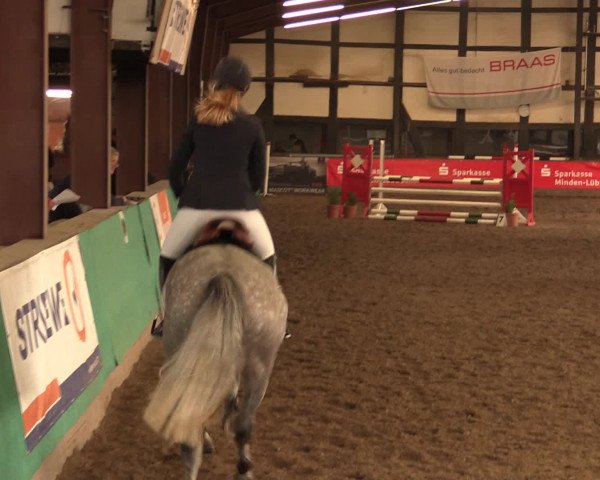 Hallenreitturnier Ovenstädt 2016