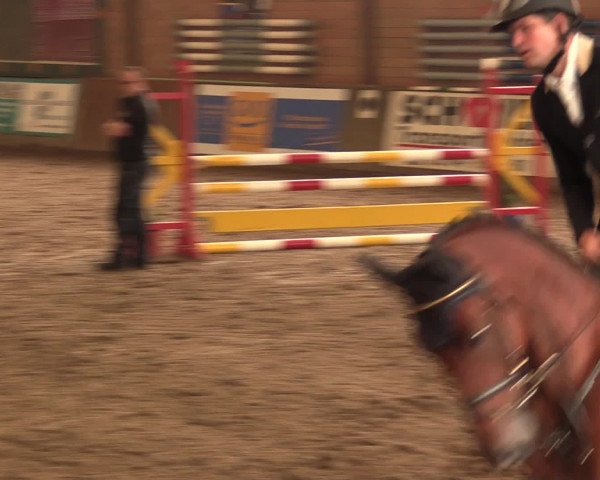 Hallenreitturnier Ovenstädt 2016