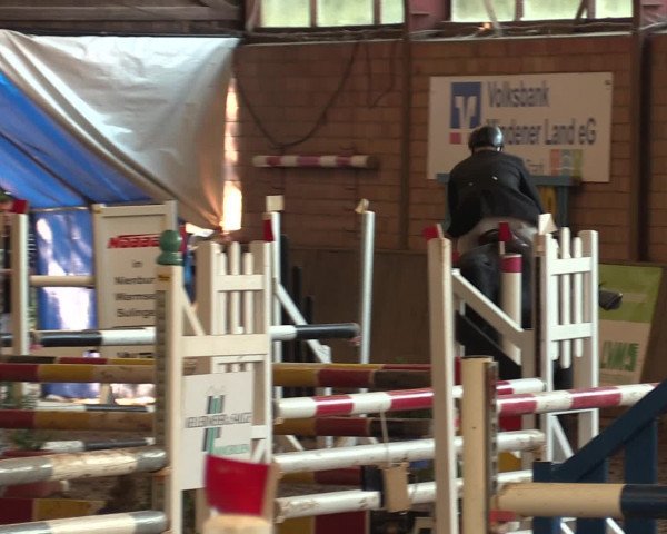 Hallenreitturnier Ovenstädt 2016