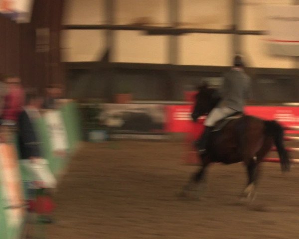 Hallenreitturnier Ovenstädt 2016