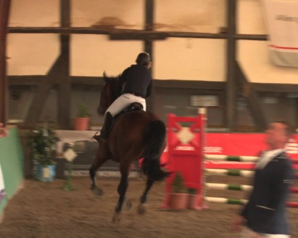 Hallenreitturnier Ovenstädt 2016