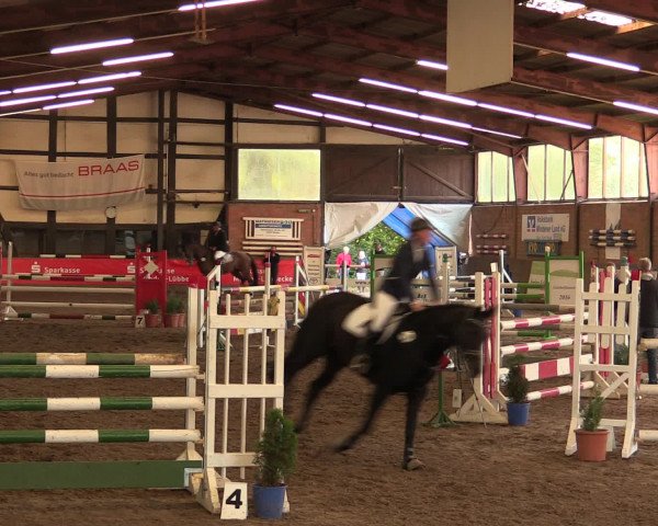 Hallenreitturnier Ovenstädt 2016
