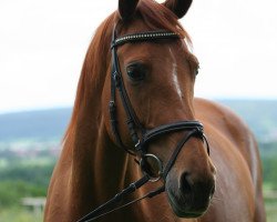 dressage horse Wicky Wanda (Bavarian, 2001, from La Rochelle G)
