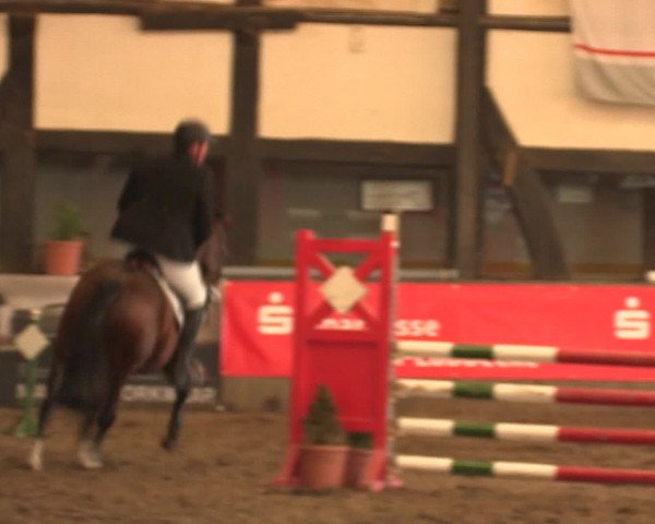 Hallenreitturnier Ovenstädt 2016