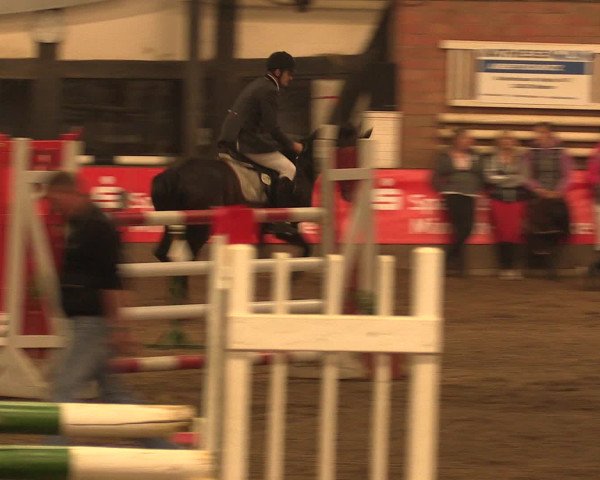 Hallenreitturnier Ovenstädt 2016