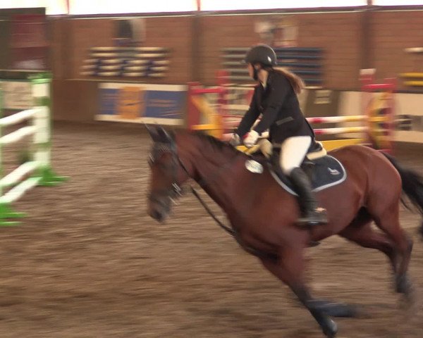 Hallenreitturnier Ovenstädt 2016